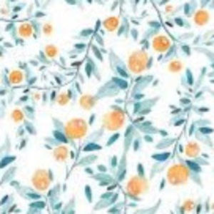 Meet your Posher, Kari